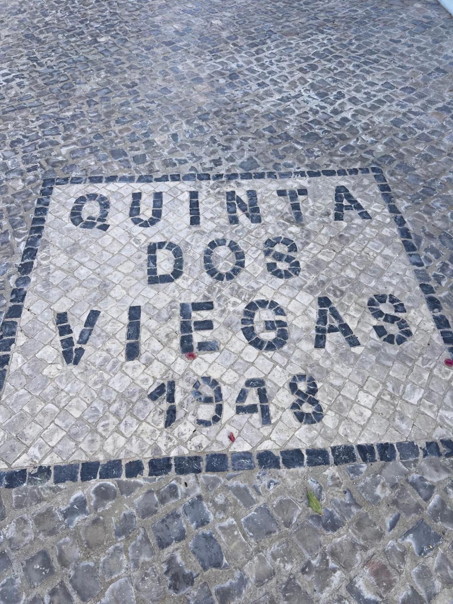Villa Quinta Dos Viegas à District de District de Faro Extérieur photo