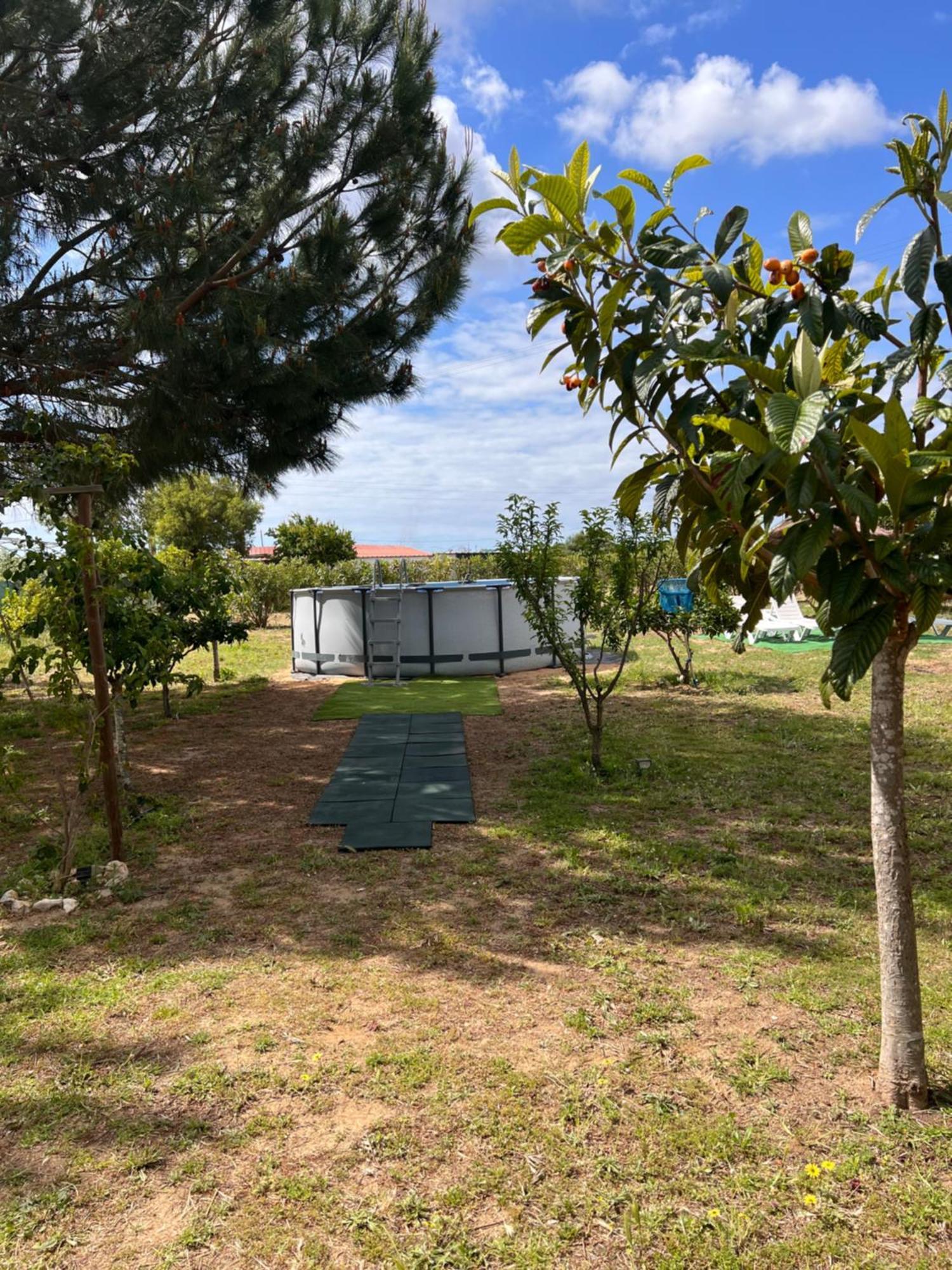 Villa Quinta Dos Viegas à District de District de Faro Extérieur photo